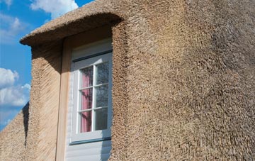 Tynant thatch roof disadvantages